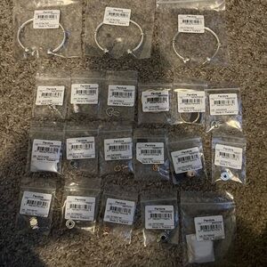 Pandora Silver Charm Bracelet Set